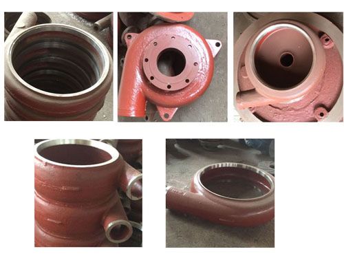 ���{�����